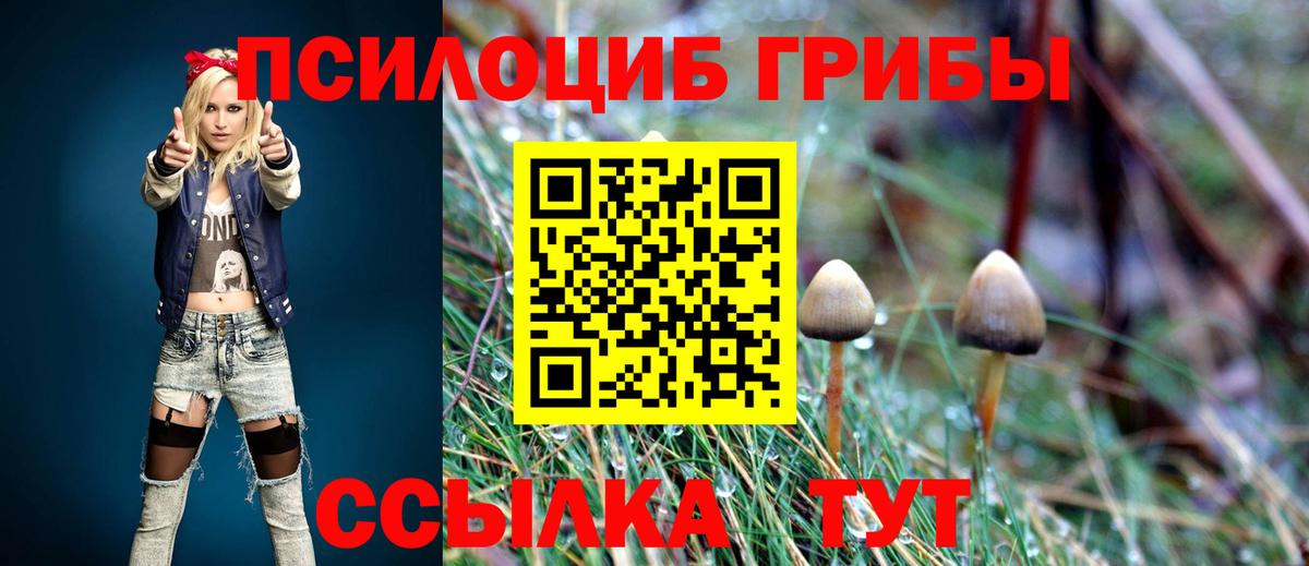 Псилоцибиновые грибы Psilocybe  Псилоцибиновые грибы мицелий  Узловая  Вход с VPN 
