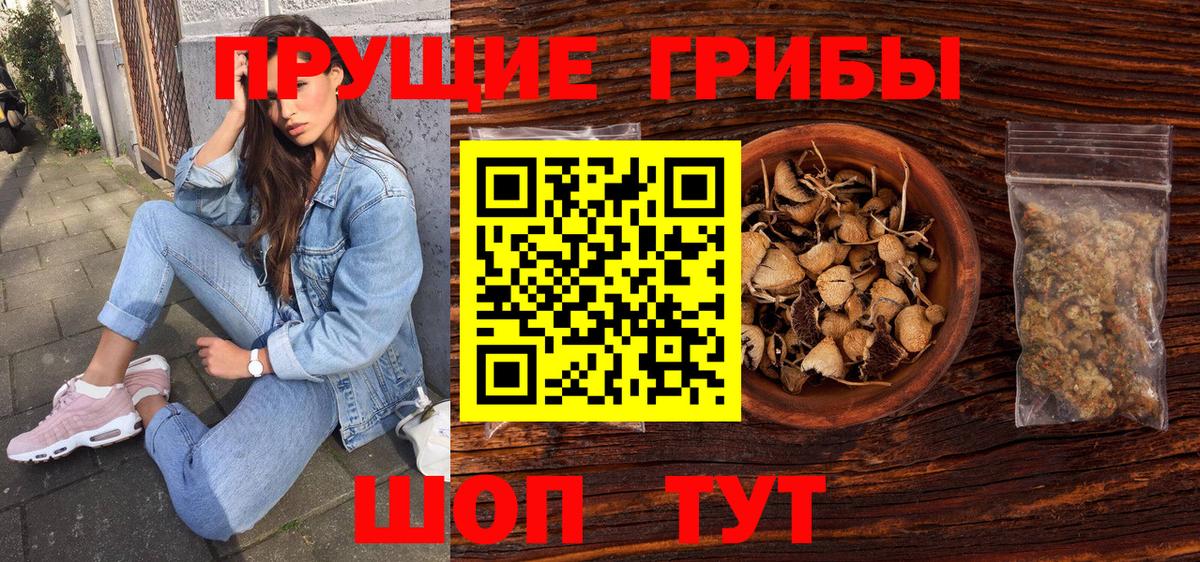 Псилоцибиновые грибы GOLDEN TEACHER Узловая